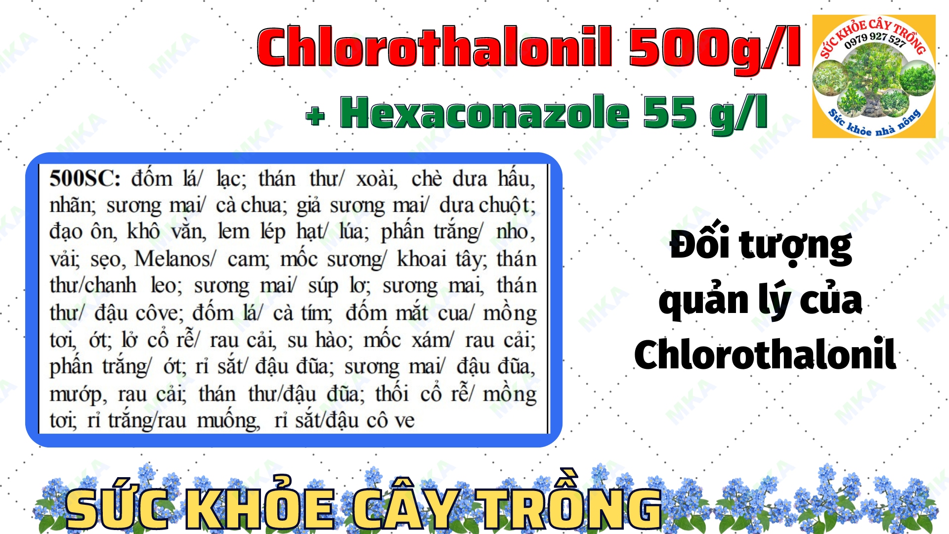 Thuốc trừ bệnh chloro MKA 555SC